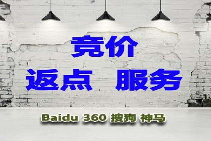 成功案例解析：SEM托管公司服务优势