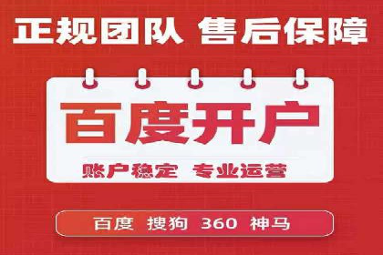 百度竞价推广案例：品牌崛起之路